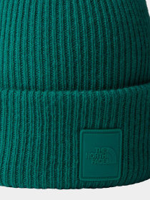 Шапка The North Face Urban Patch модель NF0A7WJGNL11 Фото