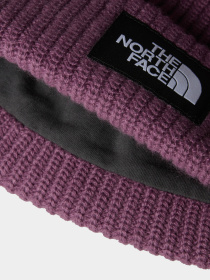 Шапка The North Face Salty Lined модель NF0A3FJW1NI1 Фото