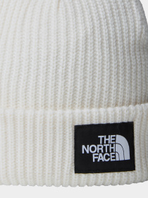 Шапка The North Face Salty Lined модель NF0A3FJWQLI1 Фото
