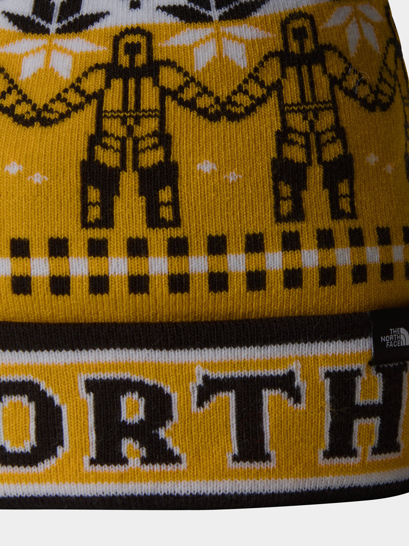 Шапка The North Face Ski Tuke модель NF0A4SIE9IO1 Фото