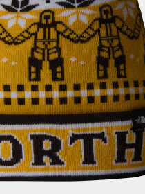 Шапка The North Face Ski Tuke модель NF0A4SIE9IO1 Шапка The North Face Ski Tuke модель NF0A4SIE9IO1 Фото