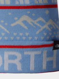 Шапка The North Face Ski Tuke модель NF0A4SIE8XO1 Фото