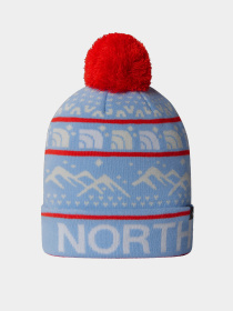 Шапка The North Face Ski Tuke модель NF0A4SIE8XO1 Фото