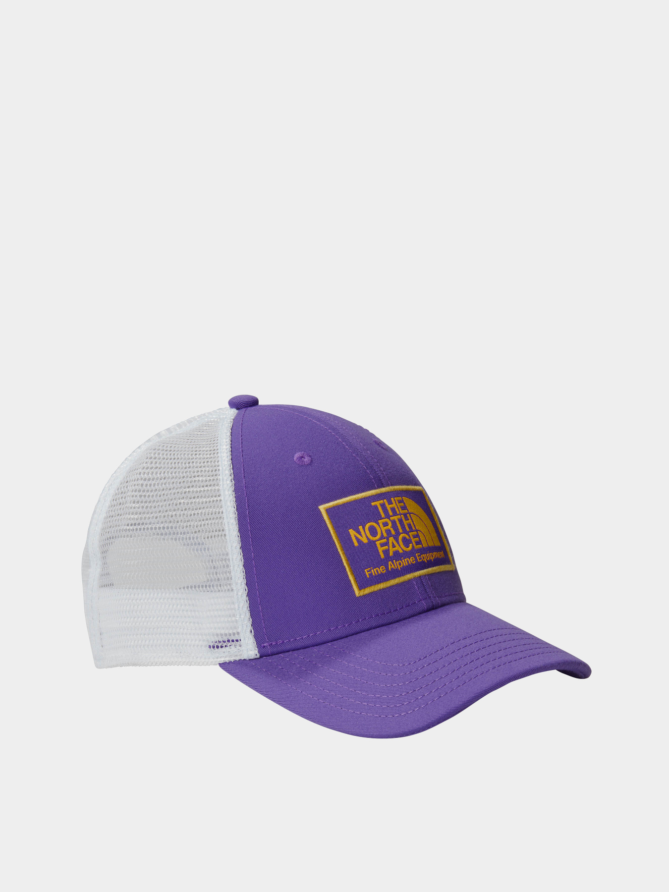 Кепка The North Face модель NF0A5FXATA21 Фото