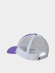 Кепка The North Face модель NF0A5FXATA21 Фото