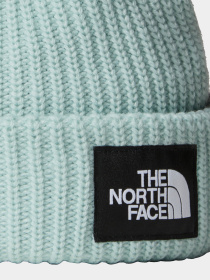 Шапка The North Face Lined модель NF0A7WG81OC1 Фото