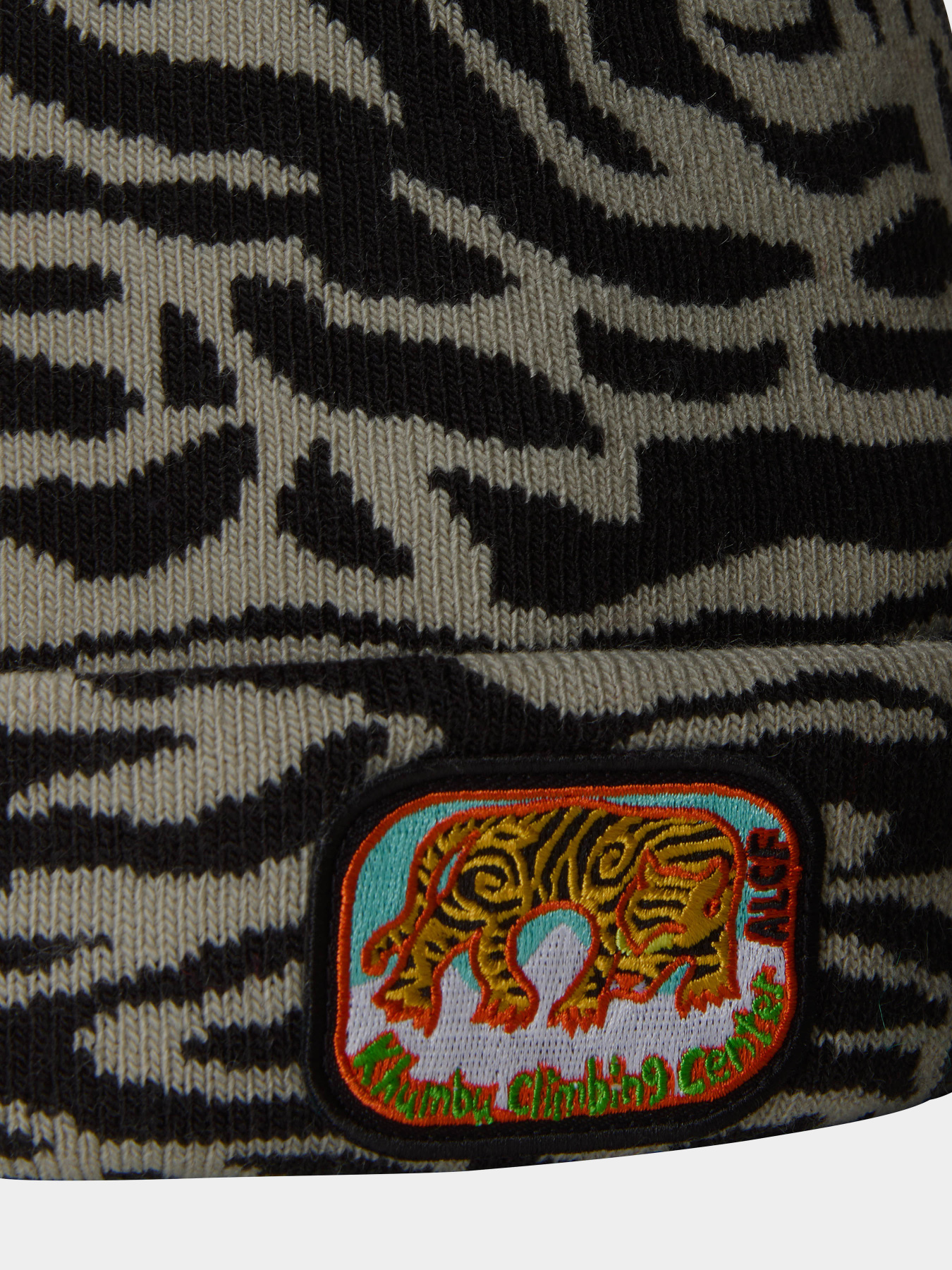 Шапка The North Face Ski Tuke модель NF0A7WJ84O61 Фото