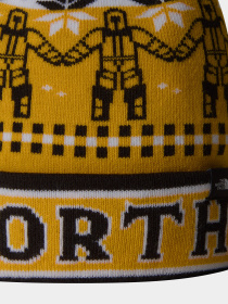 Шапка The North Face Ski Tuke модель NF0A7WJ89IO1 Фото