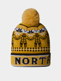 Шапка The North Face Ski Tuke модель NF0A7WJ89IO1 Фото