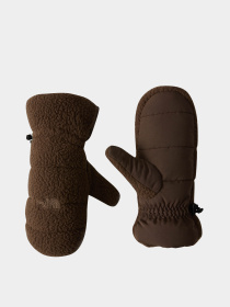 Рукавиці The North Face Cragmont Fleece Модель NF0A7WKT1OI1 Фото