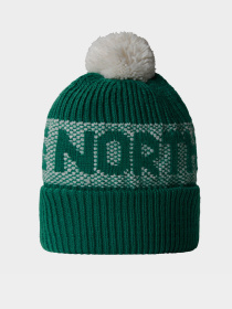 Шапка The North Face Retro Cabin модель NF0A88QW84O1 Фото