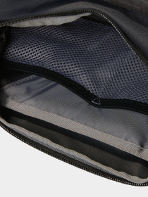 Поясная сумка The North Face Y2k Hip Pack модель NF0A87GE4GZ1 Фото