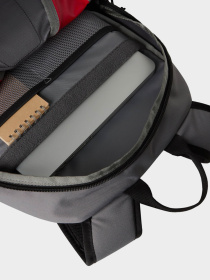 Повседневный рюкзак The North Face Y2K Daypack 20L модель NF0A87GG32D1 Фото