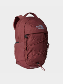 Рюкзак The North Face Borealis Mini 10L модель NF0A52SWRIG1 Фото