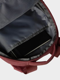 Повсякденний рюкзак The North Face Borealis Mini 10L модель NF0A52SWRIG1 Фото