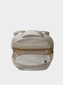 Повседневный рюкзак The North Face Borealis Mini 10L модель NF0A52SW4Q71 Фото