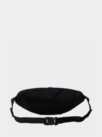 Поясная сумка The North Face Terra Lumbar 3l модель NF0A81EO4JK1 Фото