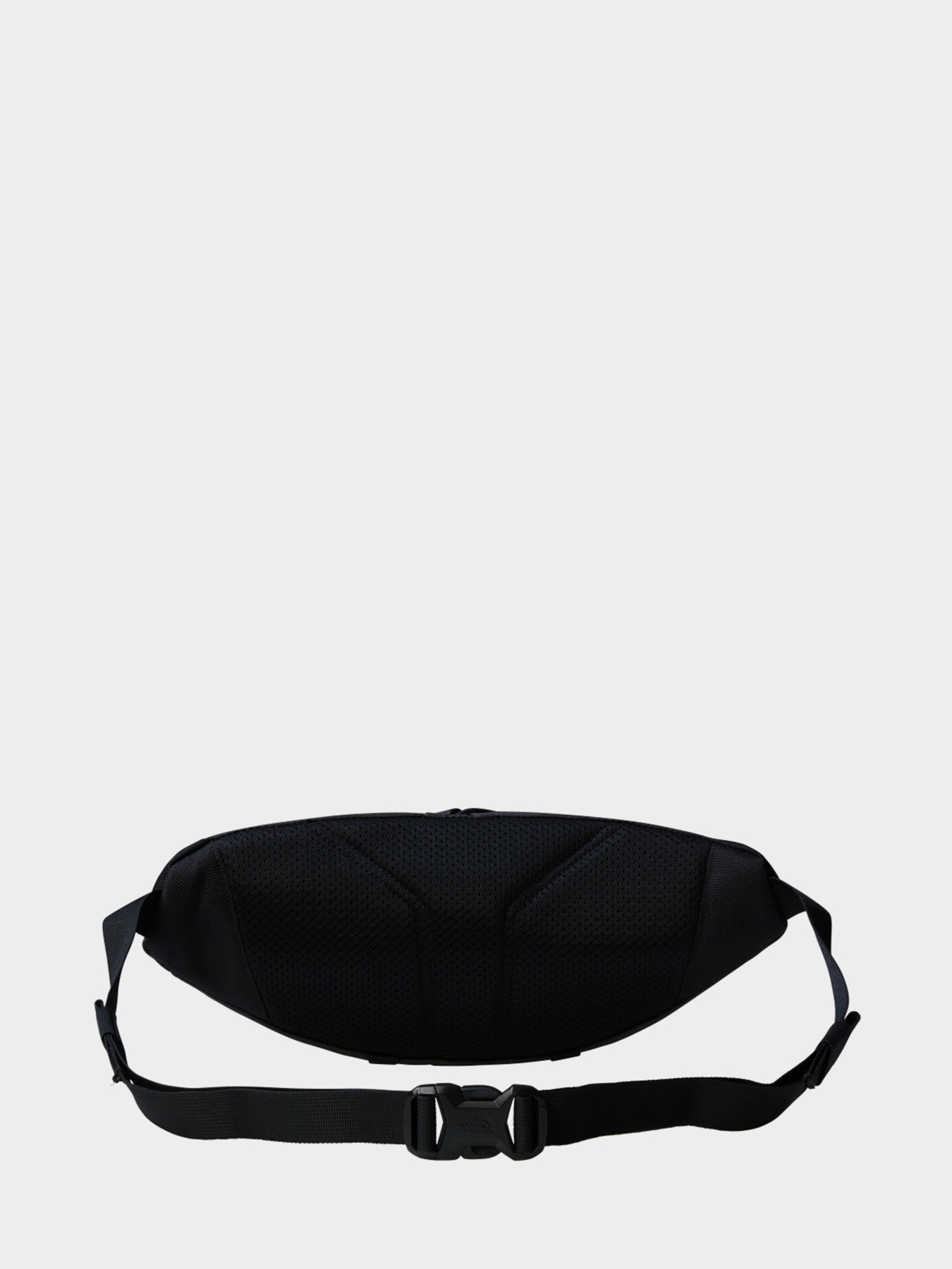 Поясная сумка The North Face Terra Lumbar 3l модель NF0A81EO4JK1 Фото