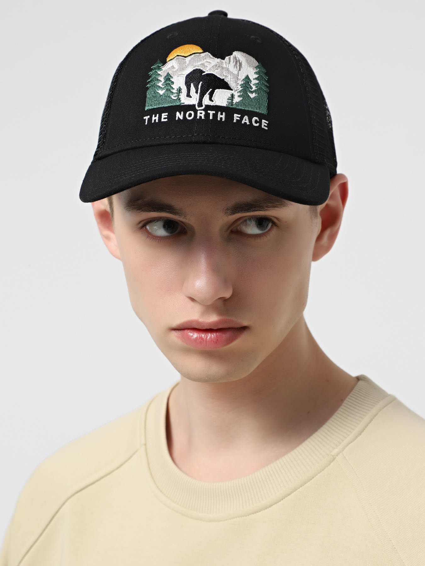 Кепка The North Face Embroidered Mudder Trucker модель NF0A7WH396O1 Фото