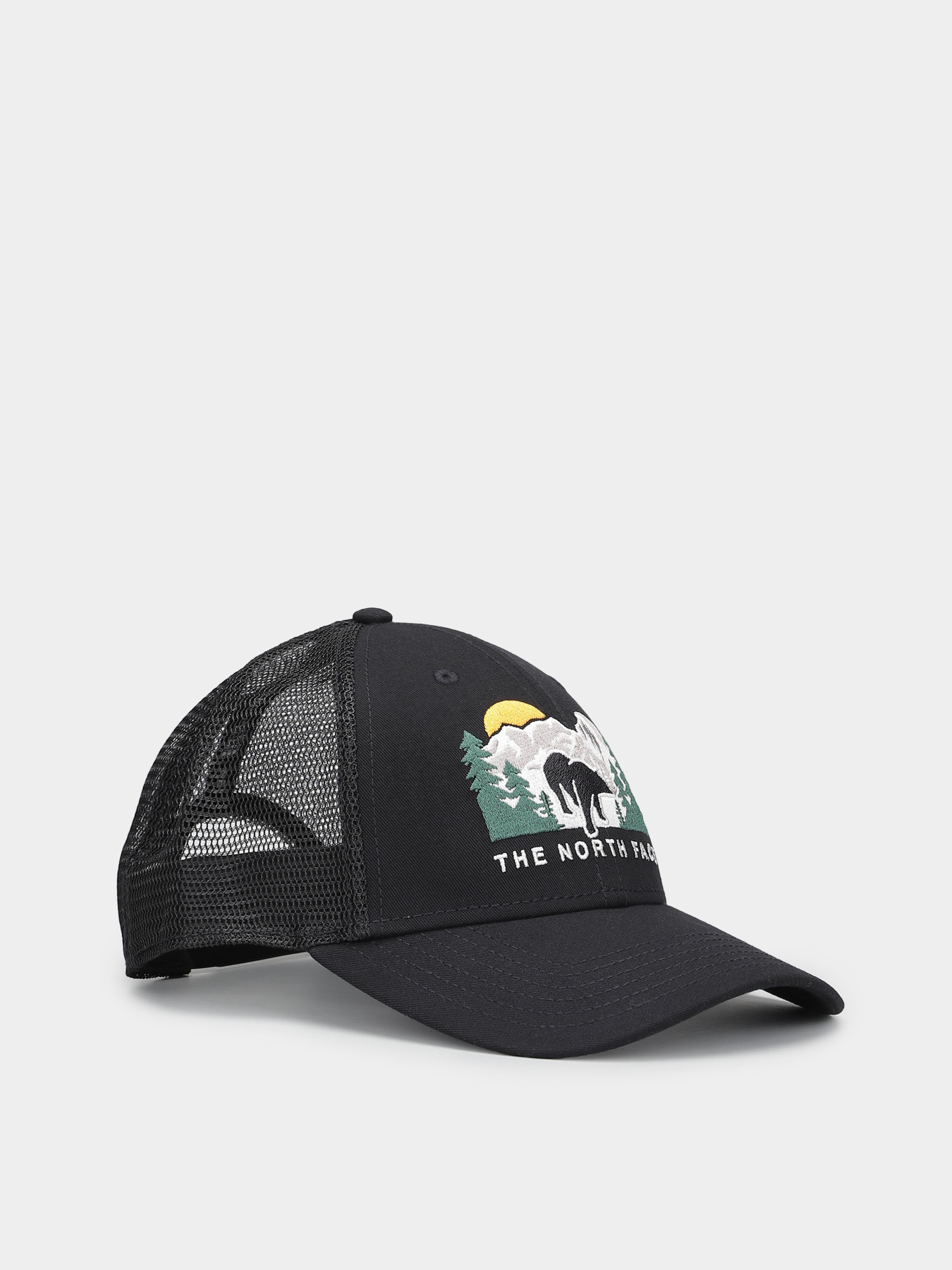 Кепка The North Face Embroidered Mudder Trucker модель NF0A7WH396O1 Фото