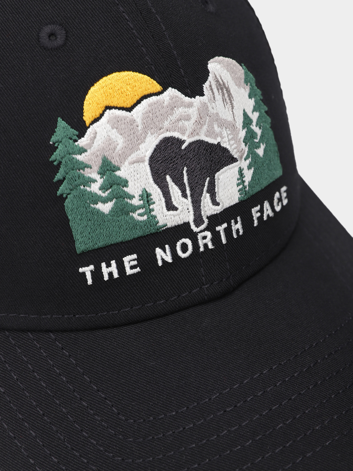 Кепка The North Face Embroidered Mudder Trucker модель NF0A7WH396O1 Фото