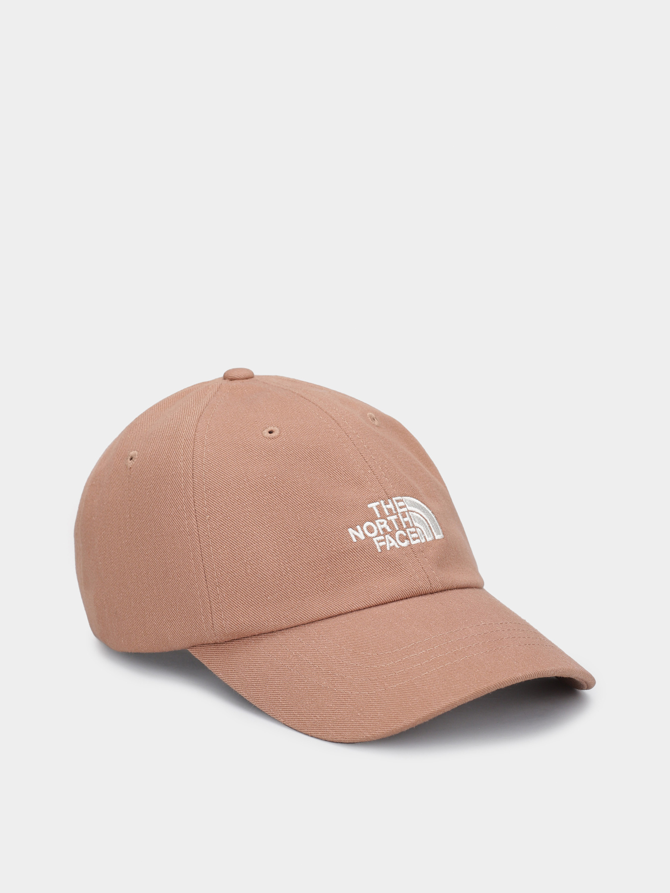 Кепка The North Face Norm модель NF0A7WHO6IH1 Фото