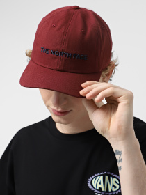 Кепка The North Face Roomy Norm модель NF0A7WHPAYQ1 Фото