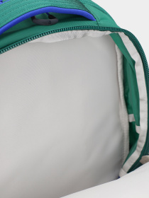 Повседневный рюкзак The North Face Borealis 28L модель NF0A52SE37L1 Фото