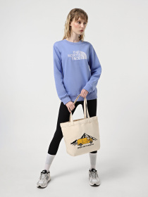 Шопер The North Face Cotton 17 L Модель NF0A3VWQBV01 Фото