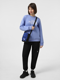 Мессенджер The North Face Jester 12L модель NF0A52UC0IT1 Фото