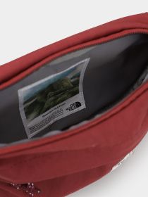Поясная сумка The North Face Berkeley Lumbar 4 L модель NF0A52VU82P1 Фото