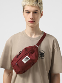 Поясна сумка The North Face Berkeley Lumbar 4 L модель NF0A52VU82P1 Фото