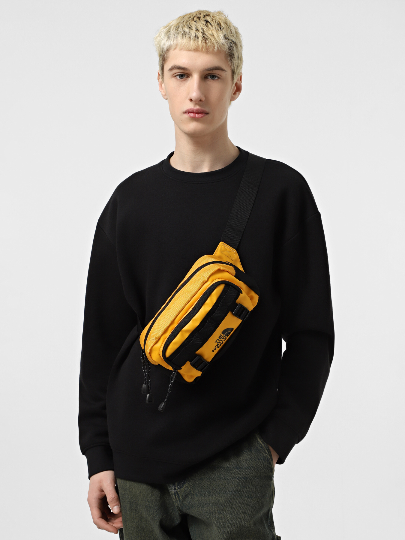 Поясная сумка The North Face Base Camp Lumbar модель NF0A8BK5ZU31 Фото