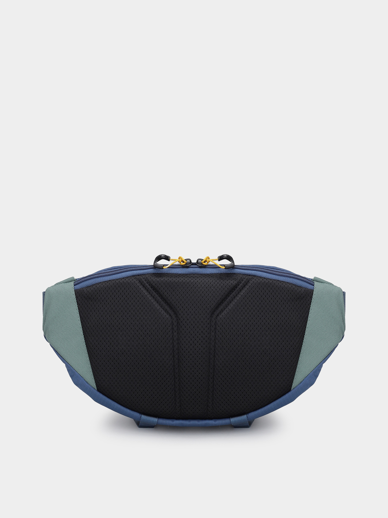 Поясна сумка The North Face Terra Lumbar 6l модель NF0A81ENBI01 Фото