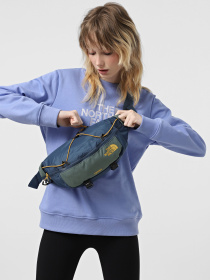 Поясна сумка The North Face Terra Lumbar 6l модель NF0A81ENBI01 Фото