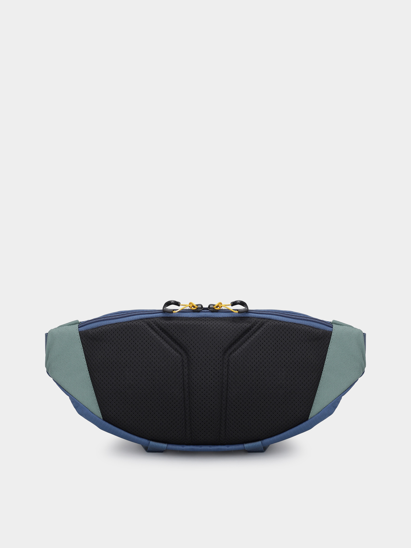 Поясная сумка The North Face Terra Lumbar 6l модель NF0A81EOBI01 Фото