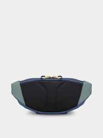 Поясная сумка The North Face Terra Lumbar 6l модель NF0A81EOBI01 Фото