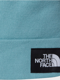 Шапка The North Face модель NF0A3FNTBOA1 Фото