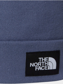 Шапка The North Face модель NF0A3FNTBTR1 Фото