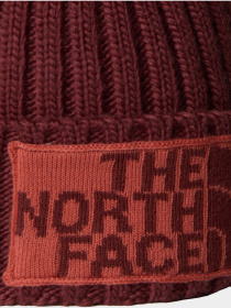 Шапка The North Face модель NF0A7WJODI81 Фото