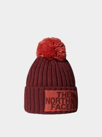Шапка The North Face модель NF0A7WJODI81 Фото