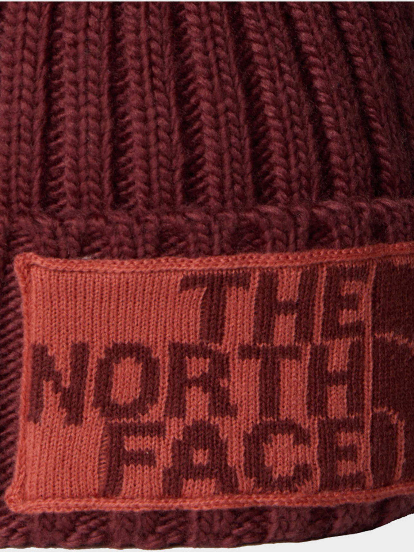 Шапка The North Face модель NF0A7WJODI81 Фото