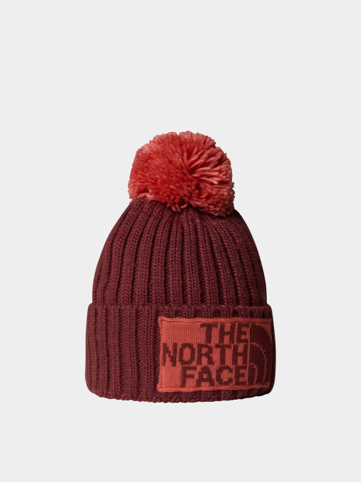 Шапка The North Face модель NF0A7WJODI81 Фото