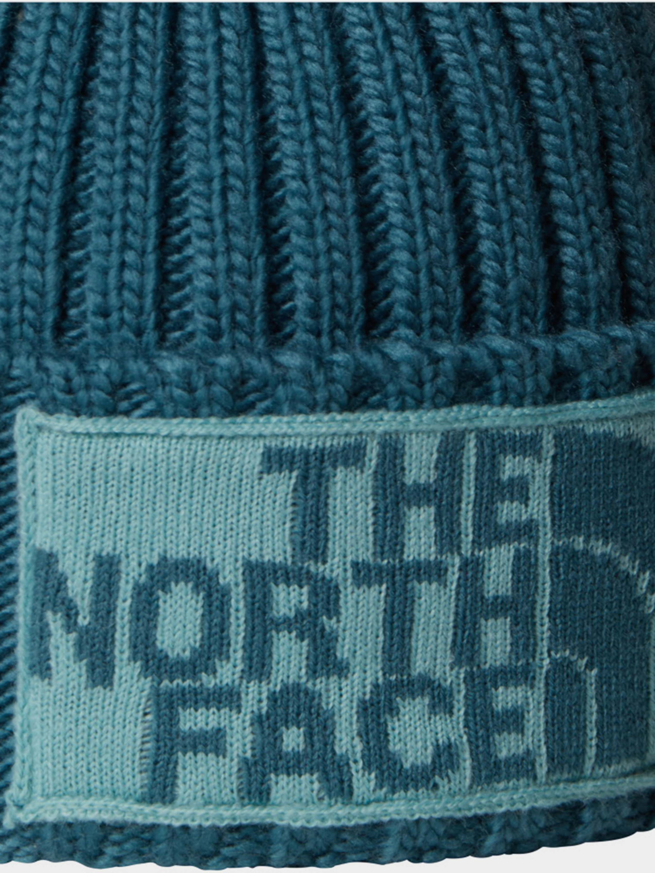 Шапка The North Face модель NF0A7WJOE311 Фото