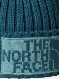 Шапка The North Face модель NF0A7WJOE311 Фото