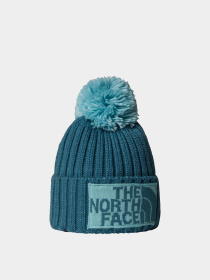 Шапка The North Face модель NF0A7WJOE311 Фото