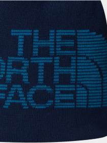 Шапка The North Face модель NF0A7WLADIA1 Фото