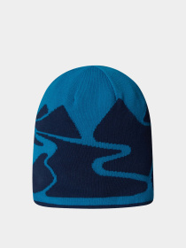 Шапка The North Face модель NF0A7WLADIA1 Фото