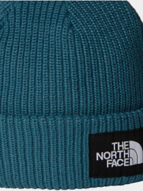 Шапка The North Face модель NF0A8CGZBQ51 Фото