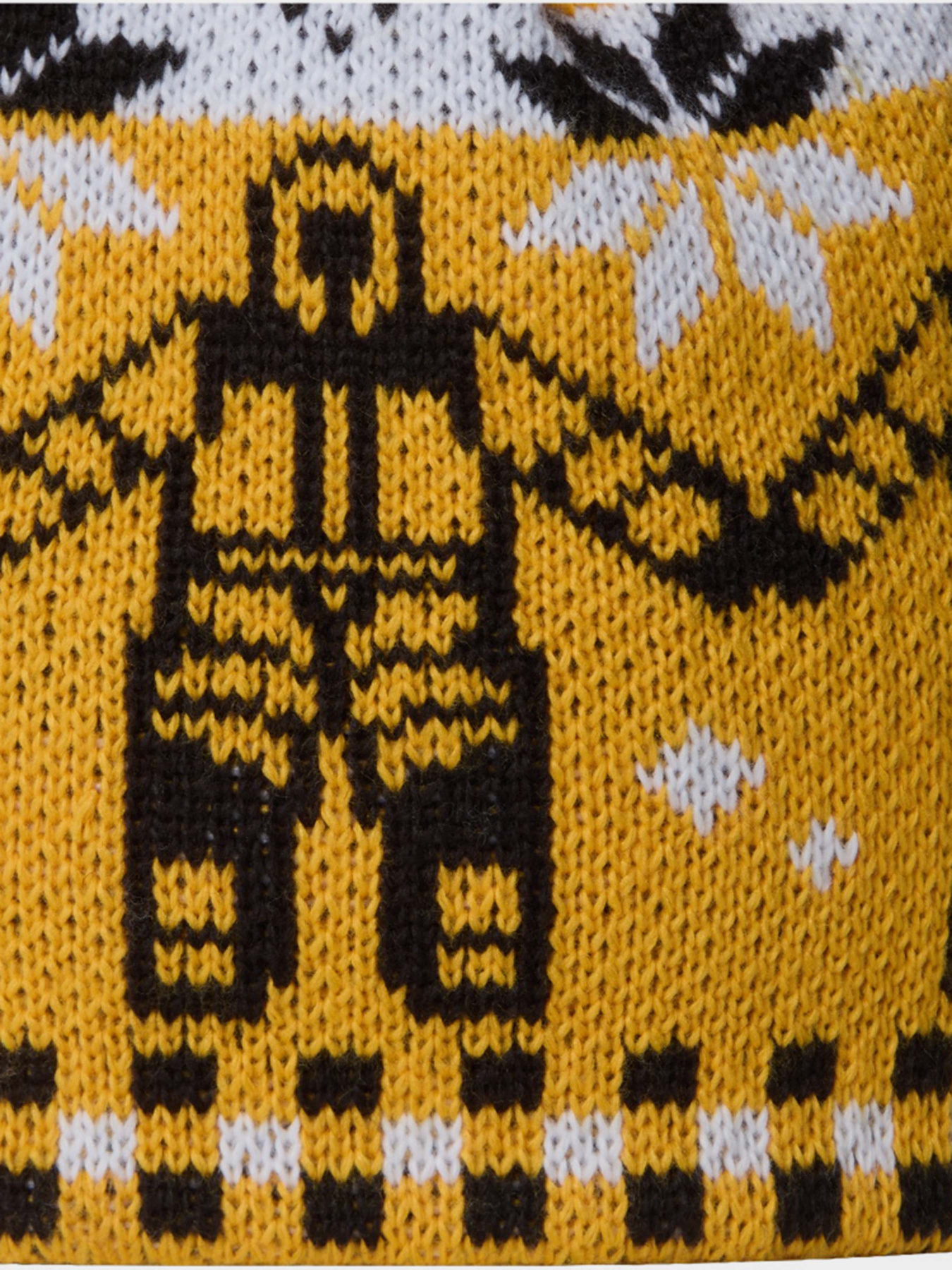 Шапка The North Face модель NF0A8CH0HIB1 Фото